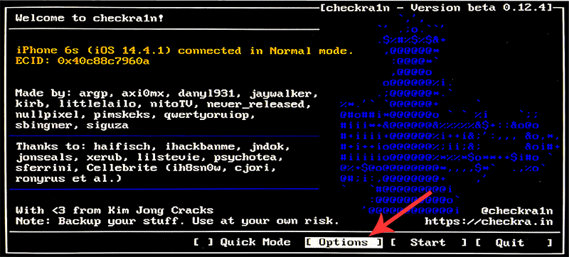 options in checkra1n