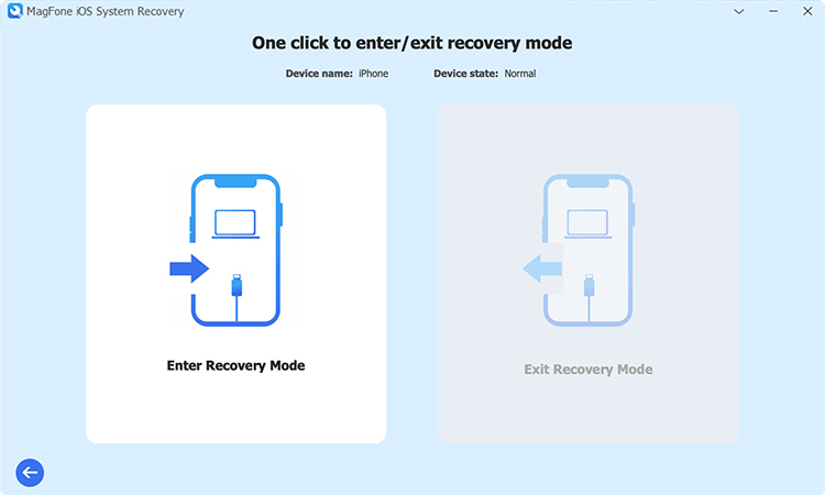 enter recovery mode
