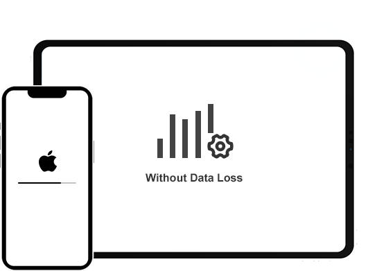 standard reset without data loss