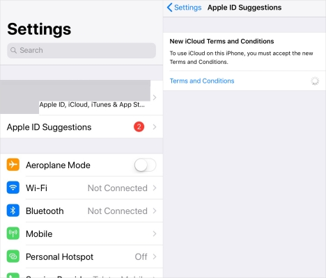 accept icloud terms and conditions in settings