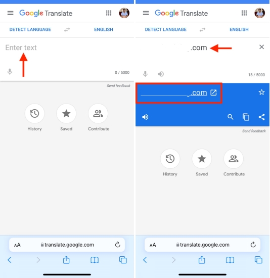 access restricted website via google translate on iphone