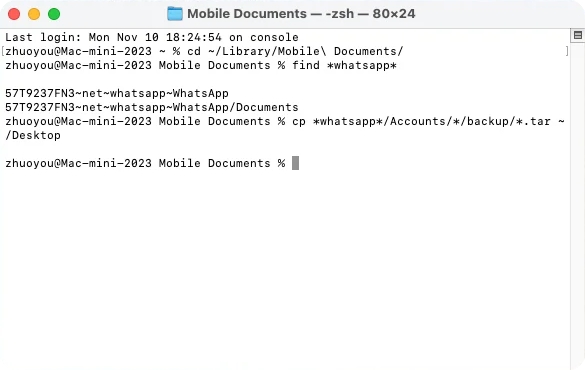 access icloud whatsapp backup via terminal on mac