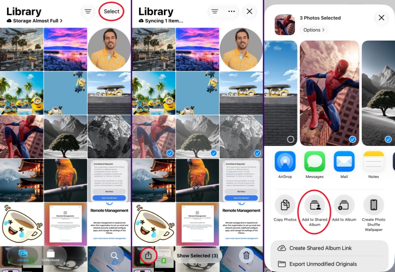 add photos to shared album on iphone