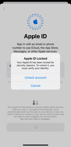 apple id locked for security reasons