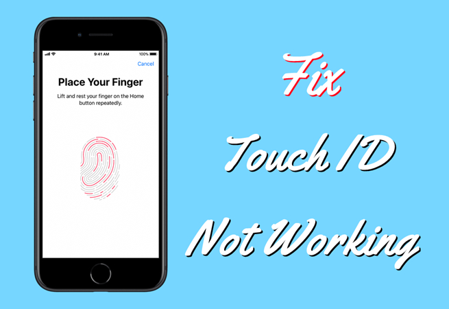 fix apple touch id not working