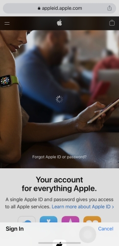 appleid.apple.com not working