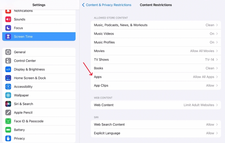 disable app restrictions on ipad