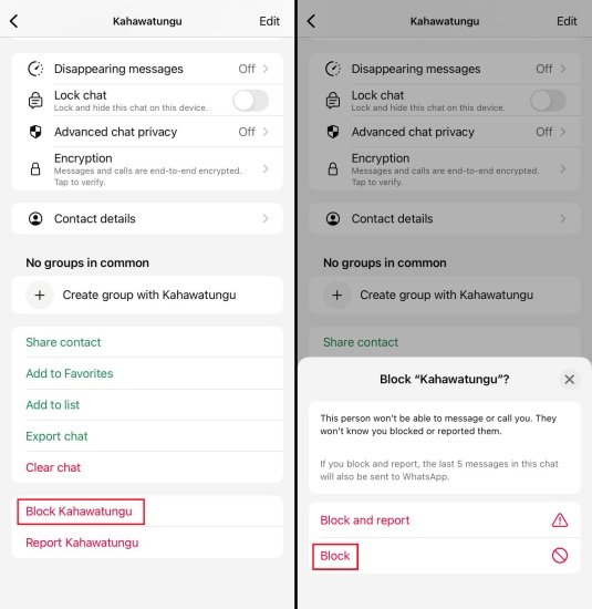 block whatsapp contact from contact info page on iphone