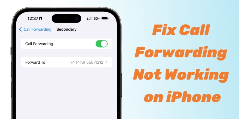 call forwarding iphone not working