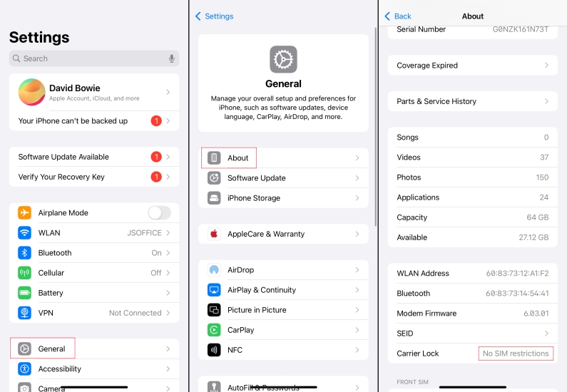 check carrier status in settings