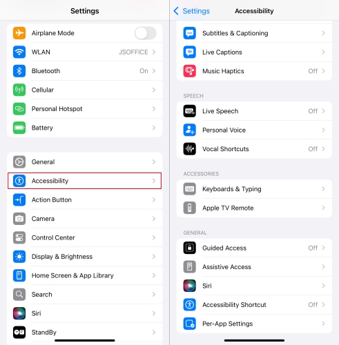 check accessibility on iphone