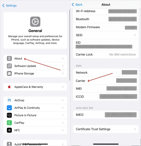 check carrier on iphone