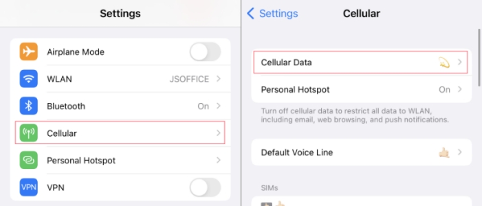 check cellular data on iphone