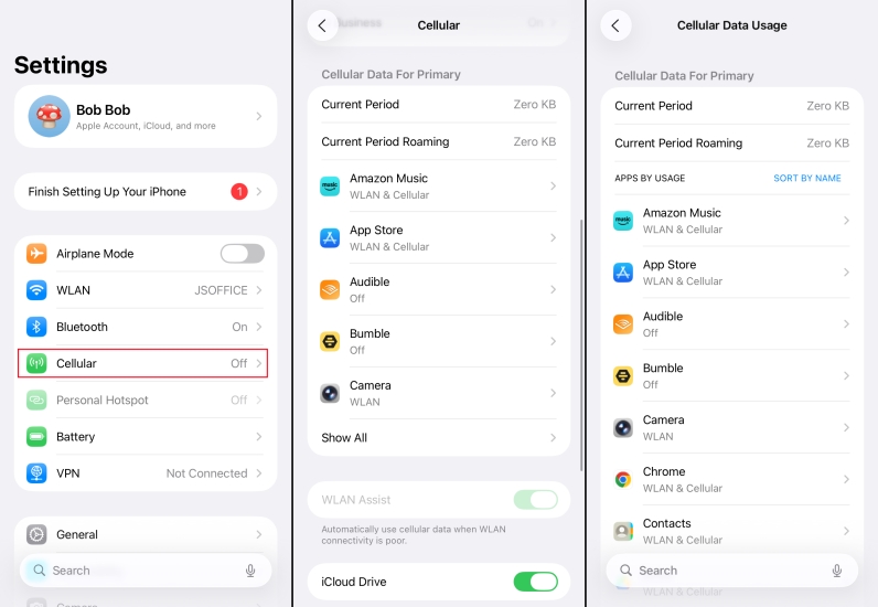 check cellular settings for app on iphone