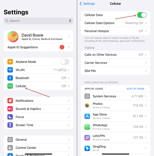 check cellular on iphone