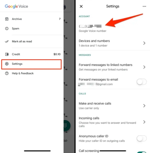 check google voice number
