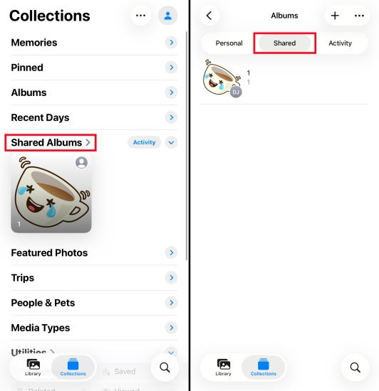 check icloud shared photos library