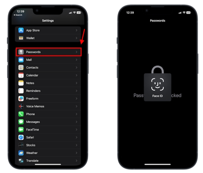 check safari passwords on iphone