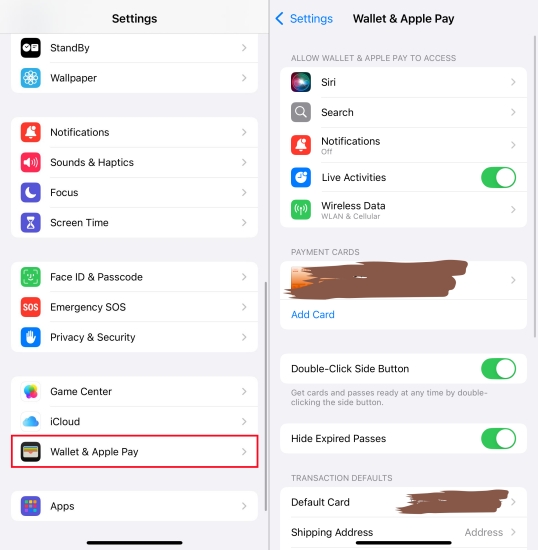 check wallet & apple pay
