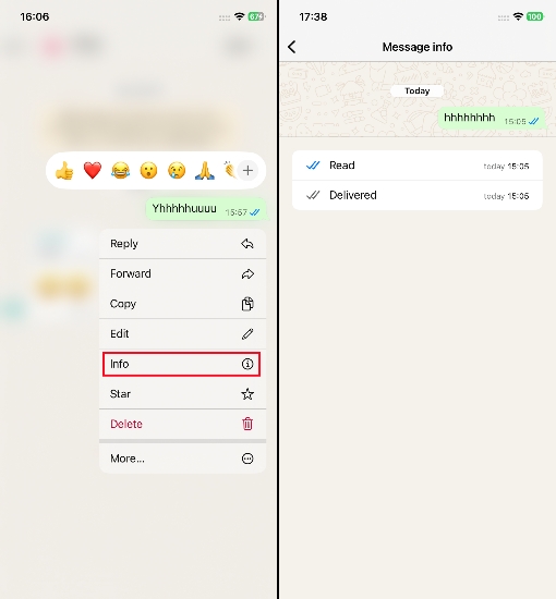 check whatsapp message info on iphone