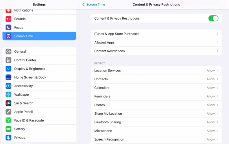 change specific content and privacy restrictions on ipad