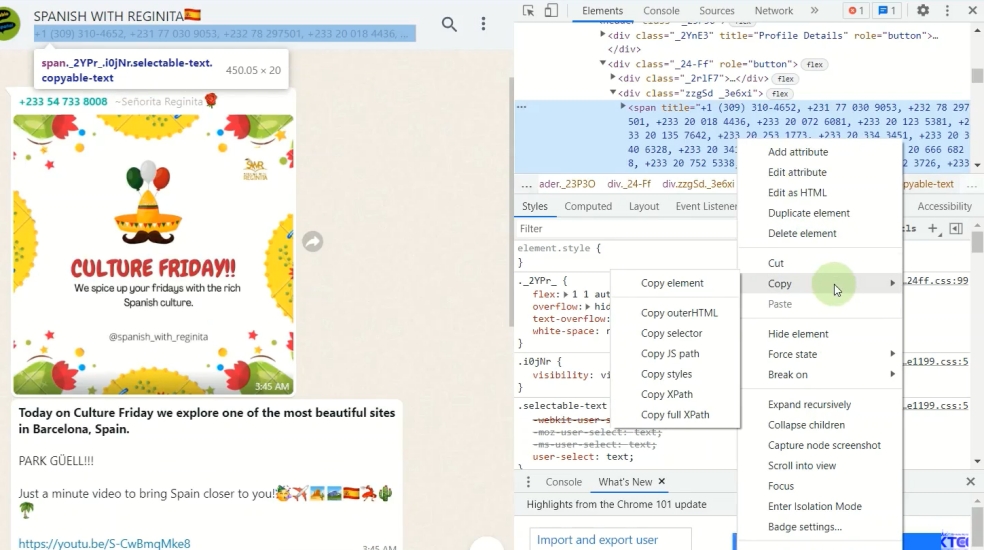 copy whatsapp group contacts from whatsapp web
