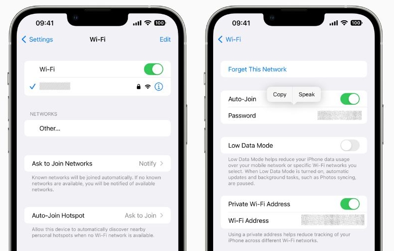 copy wifi password in iphone settings