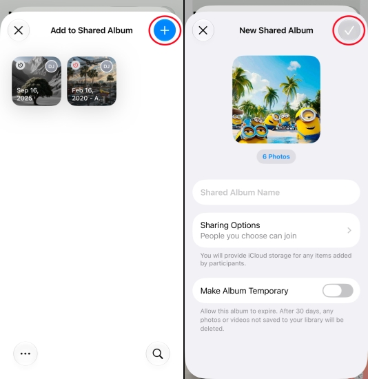 add photos to shared album on iphone