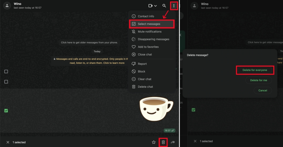 delete whatsapp messages foe everyone on web
