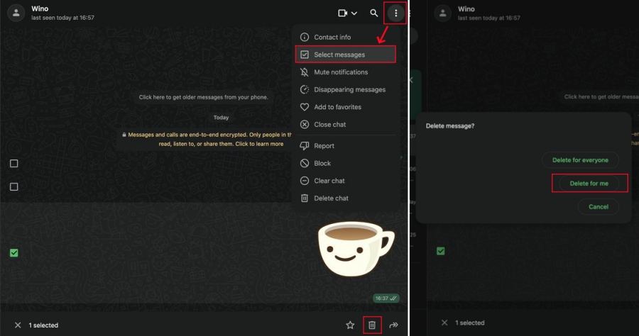 delete whatsapp messages for yourself on web