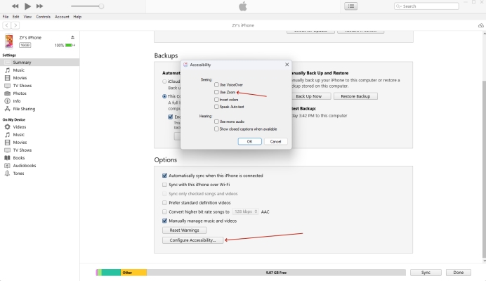 disable iphone zoom in itunes