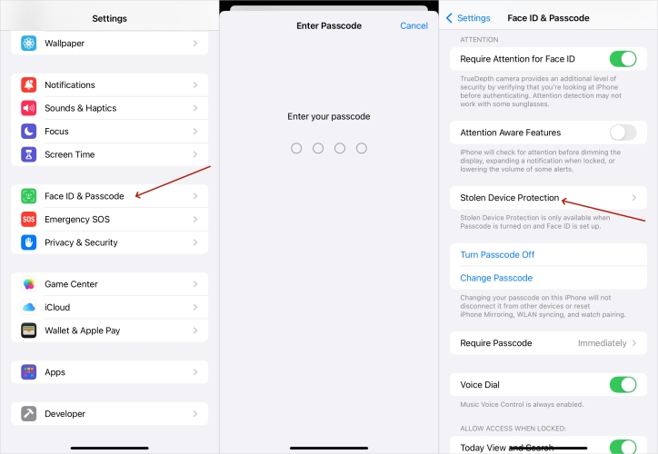 disable stolen device protection