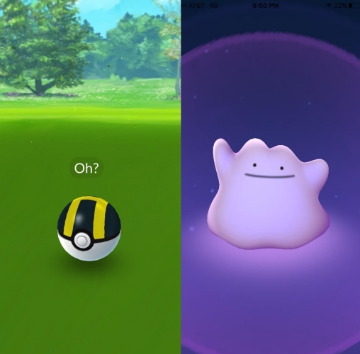 ditto caught in pokemon go