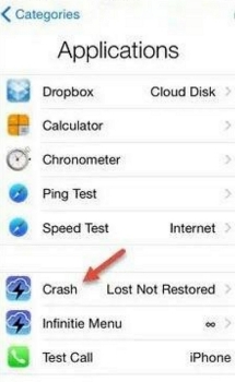 dns bypass crash option