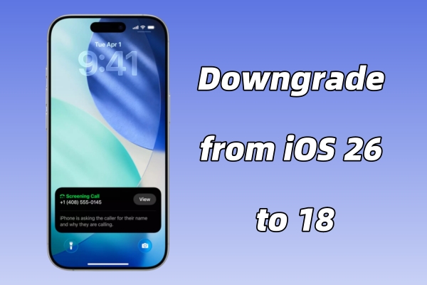 downgrade ios version