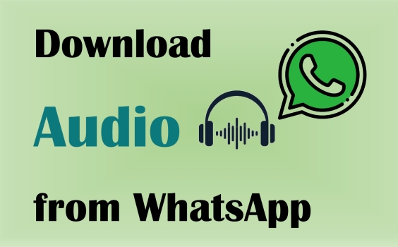 download audio from whatsapp