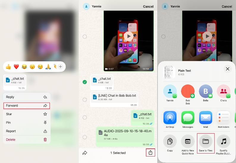 download whatsapp documents on iphone