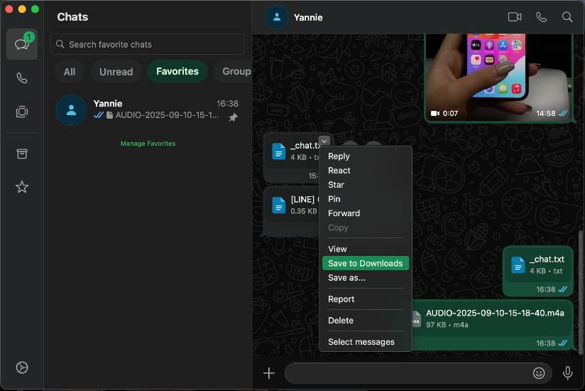 downloaded whatsapp documents in pc