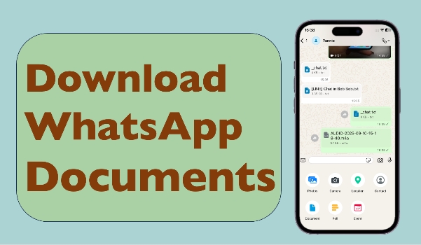 download whatsapp documents
