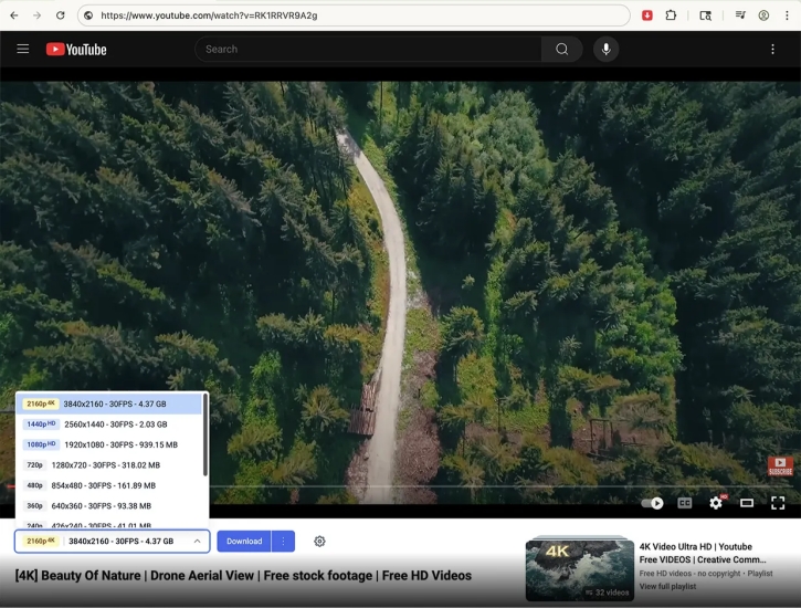 download age restricted youtube videos via tubly downloader