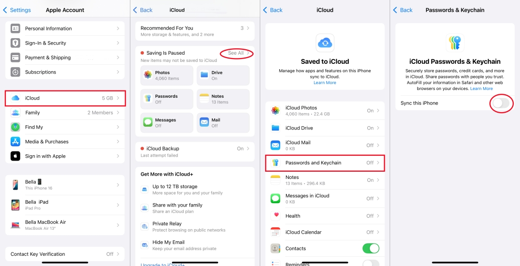 enable icloud keychain