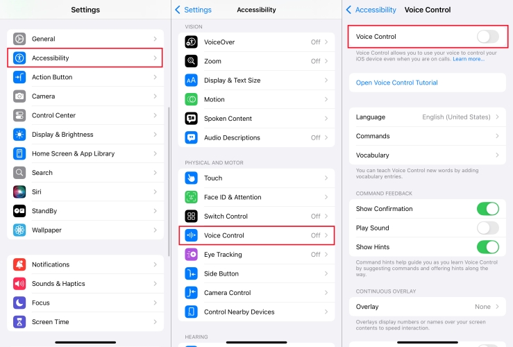 enable voice control on iphone