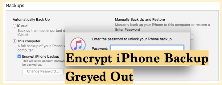 encrypt local backup greyed out