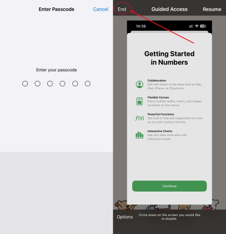force restart iphone