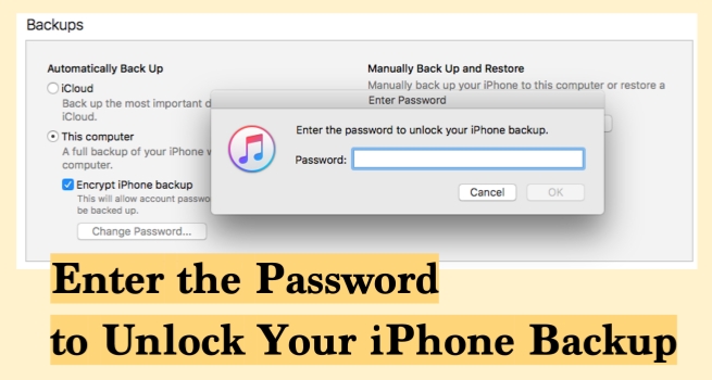 enter the password to unlock your iphone backup