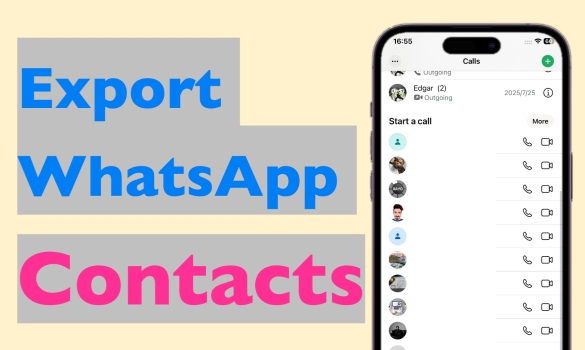 export whatsapp contacts