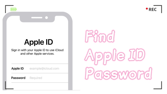 find apple id password