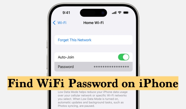 how to find wifi password on iphone