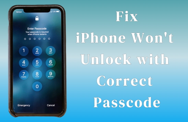 fix iphone wont unlock with correct passcode
