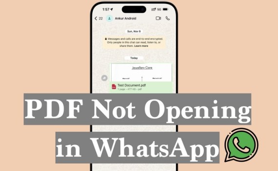how to fix  pdf not opening in whatsapp